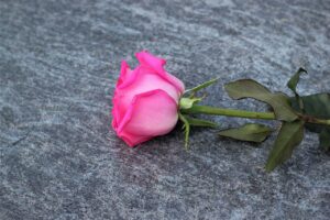 失恋から立ち直る方法は女性にどんな効果があるの？