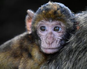 復縁コンサルの口コミで分かる成功事例とは？
