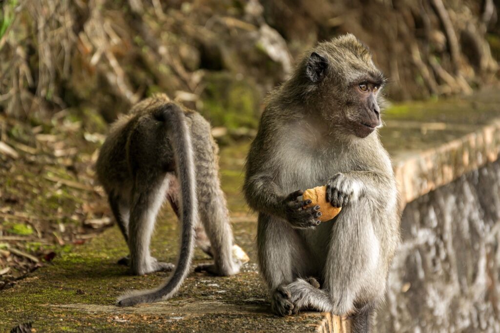 復縁コンサルを利用するメリットと成功事例は？
